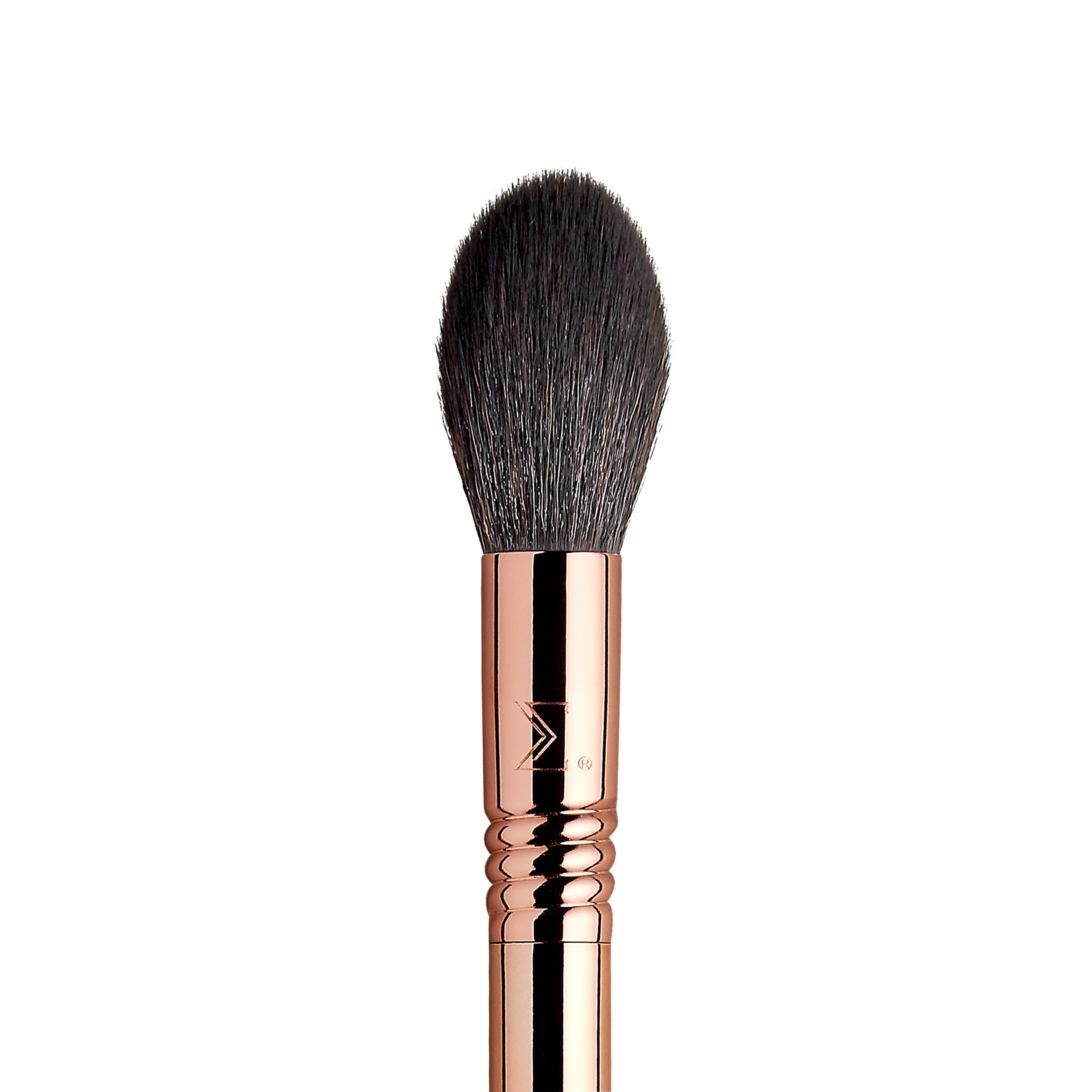 Bloom + Glow Brush Set