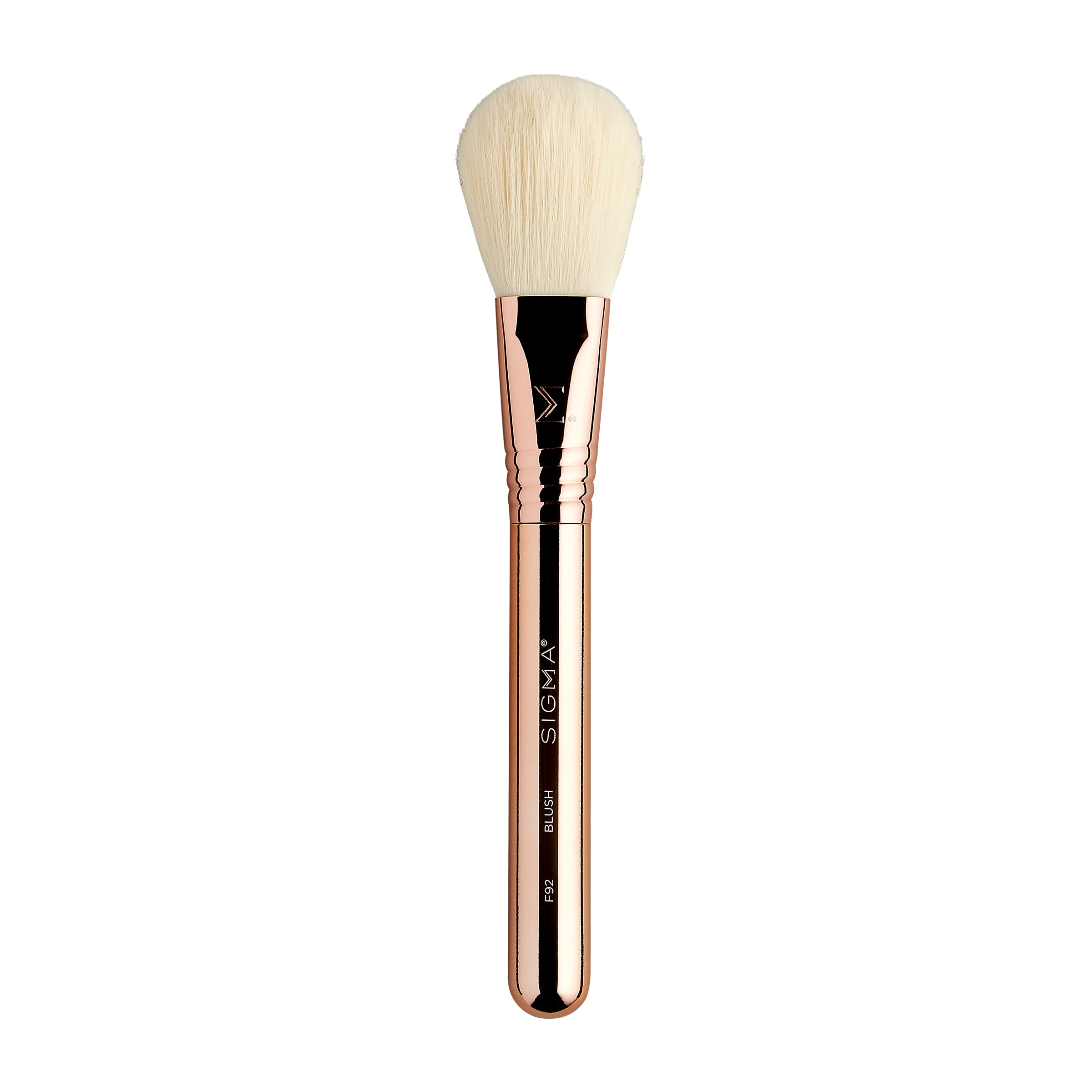 Bloom + Glow Brush Set
