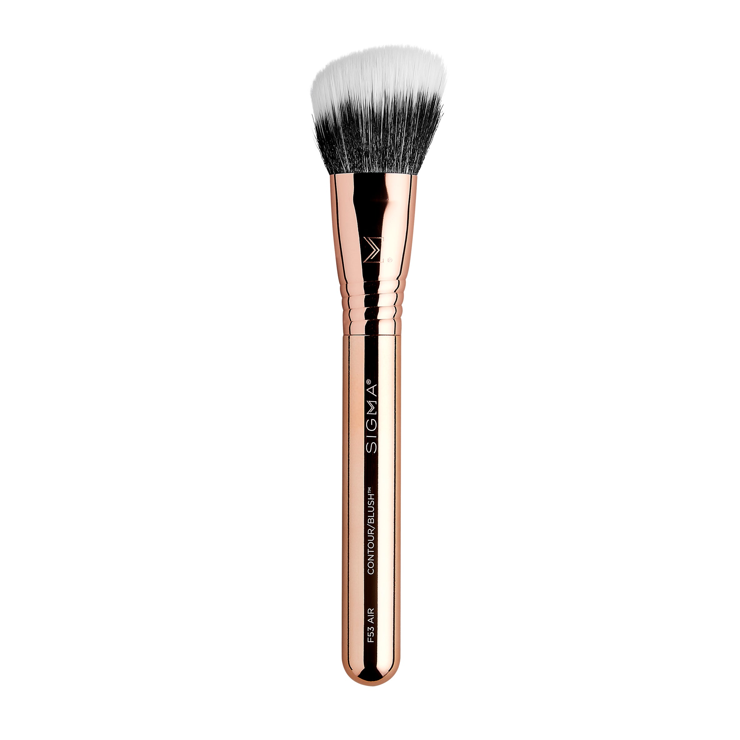 Bloom + Glow Brush Set