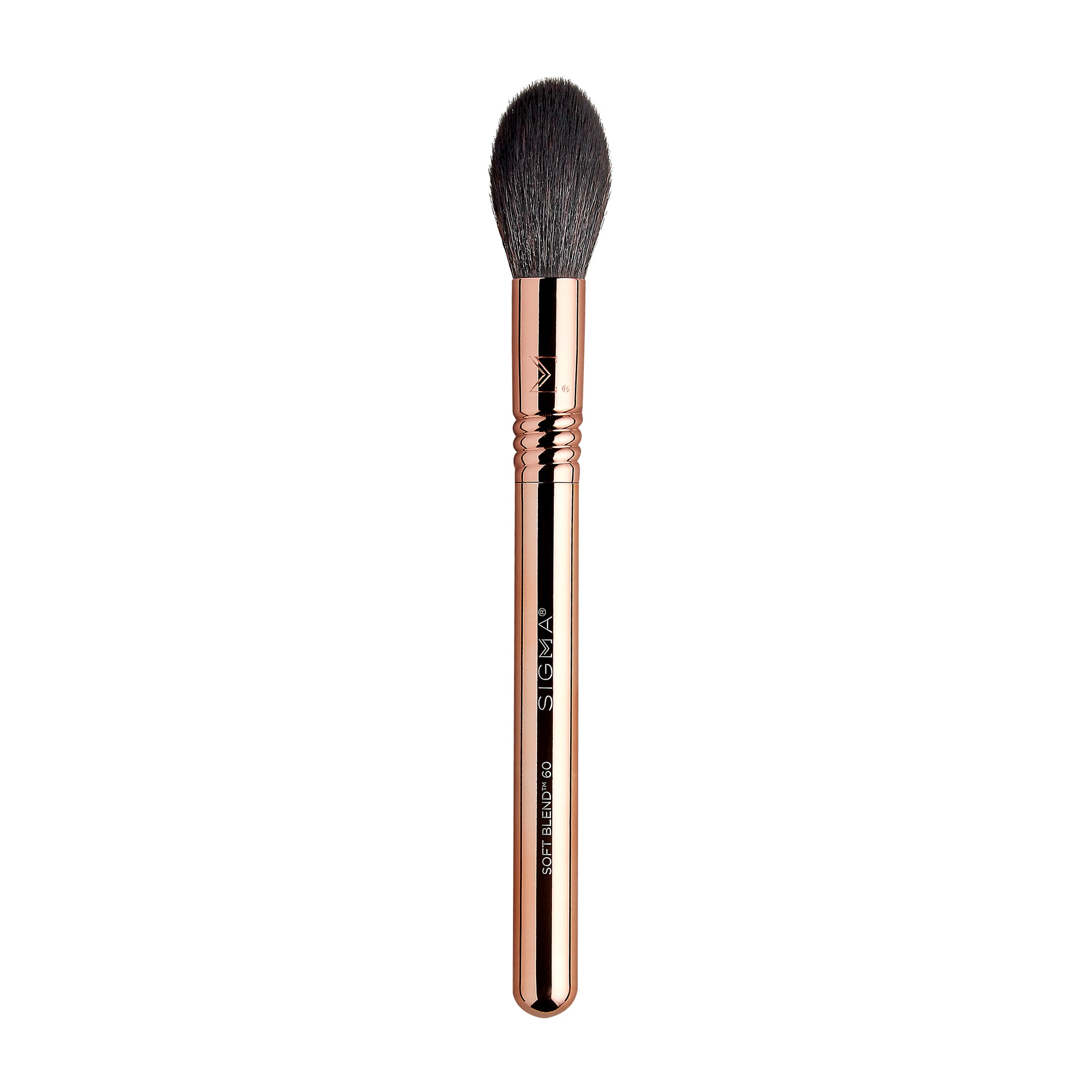 Bloom + Glow Brush Set