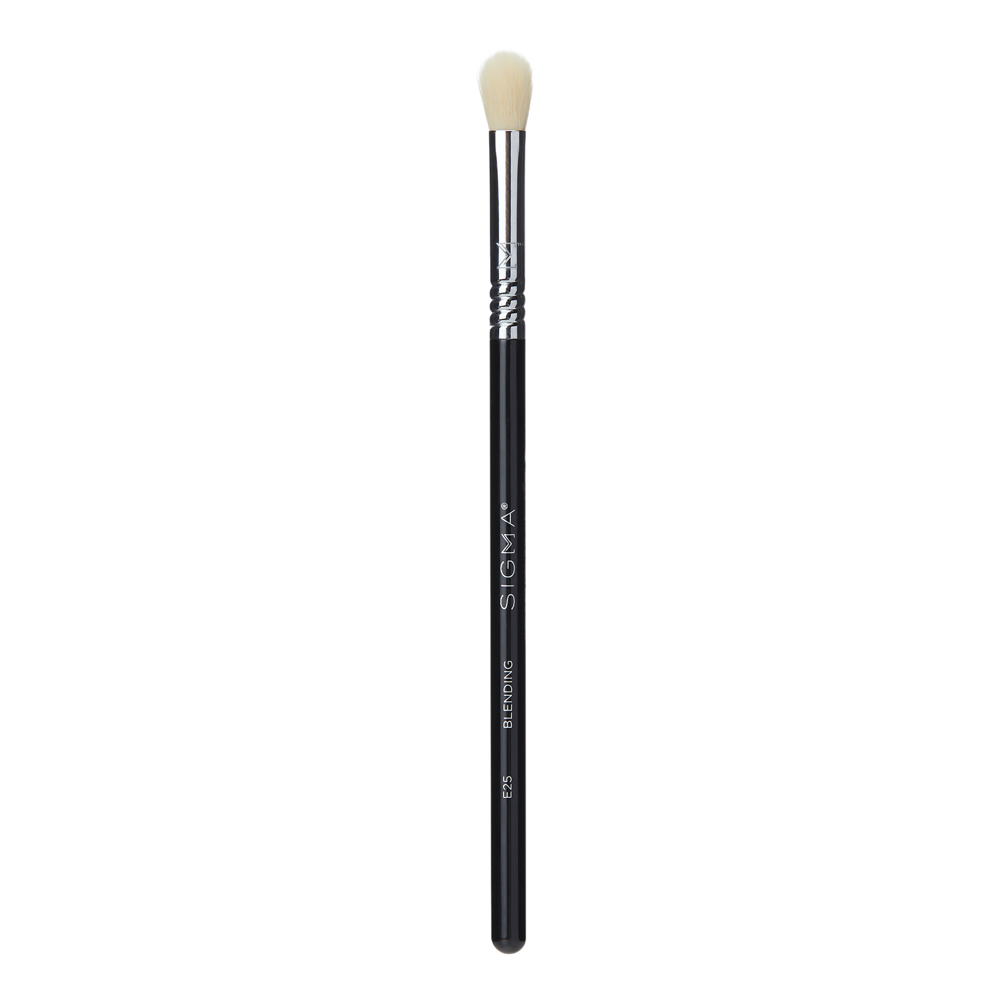 E25 - Blending Brush