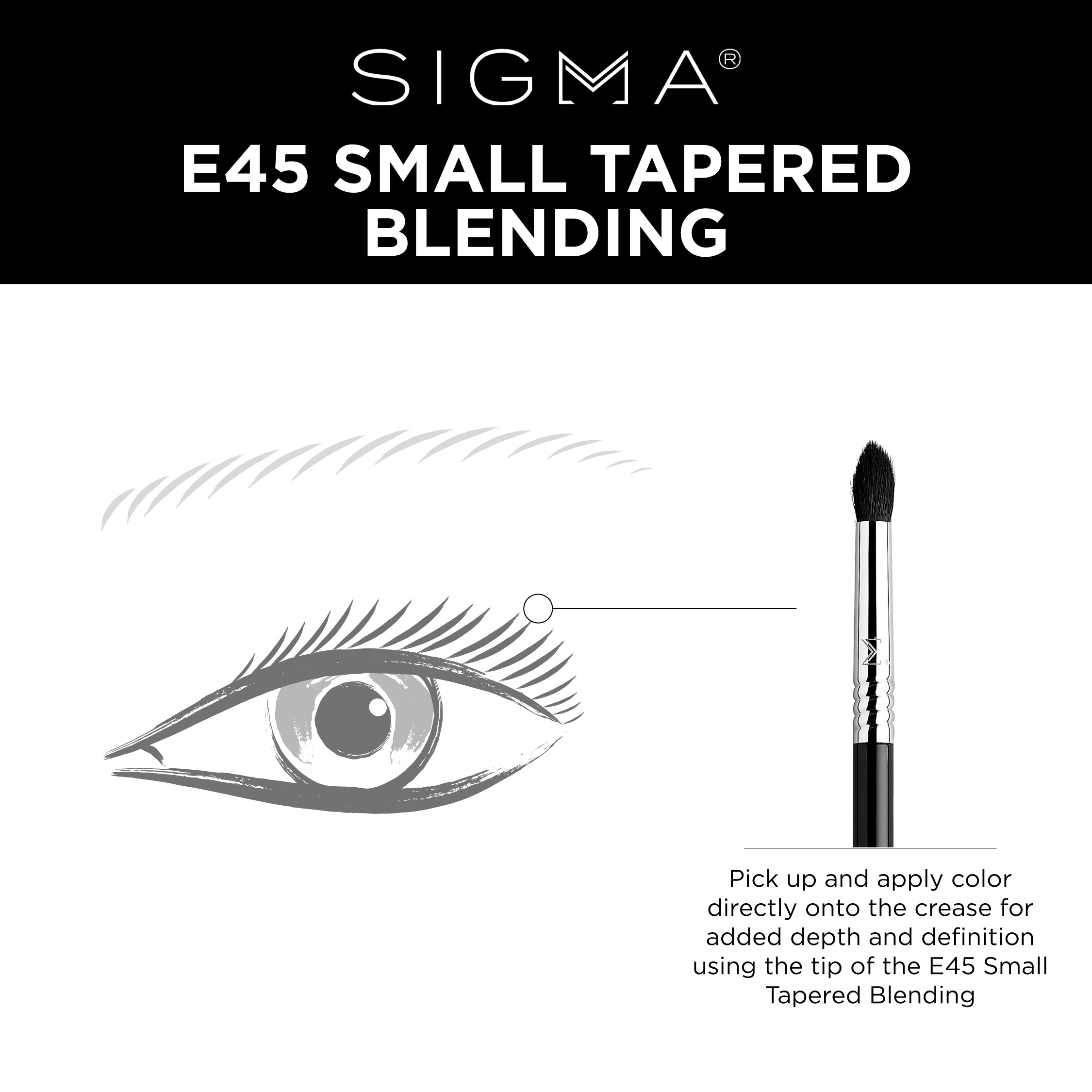 E45 - Small Tapered Blending Brush