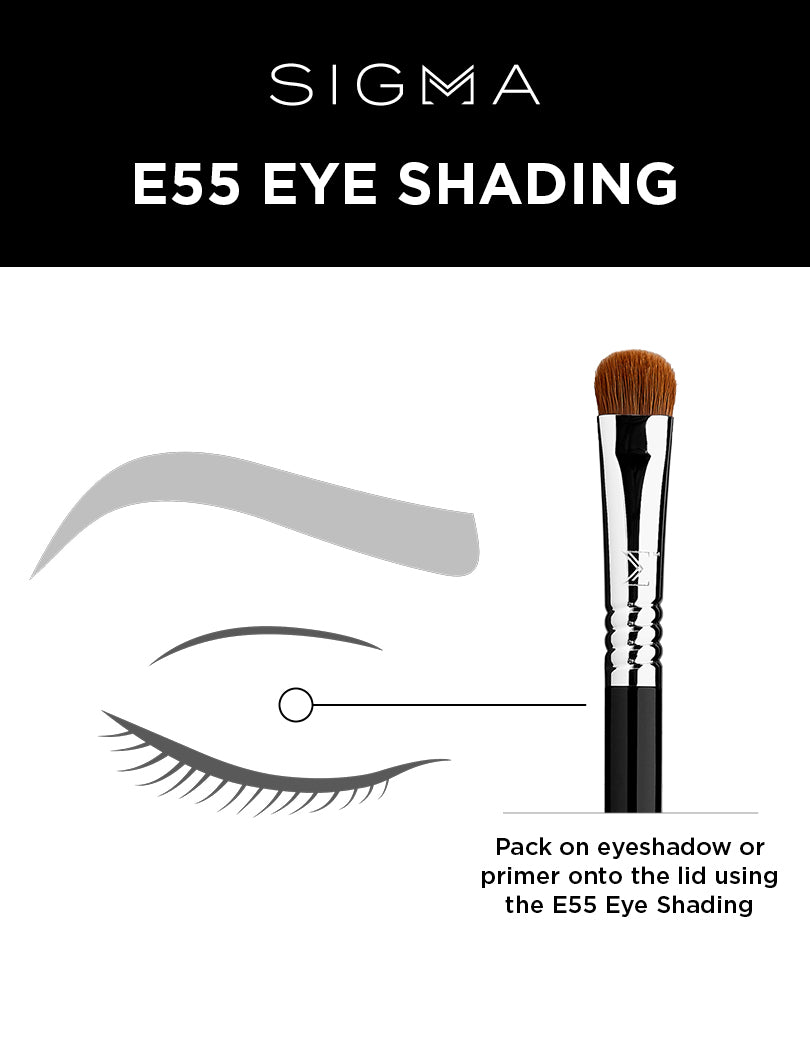 E55 - Eye Shading Brush