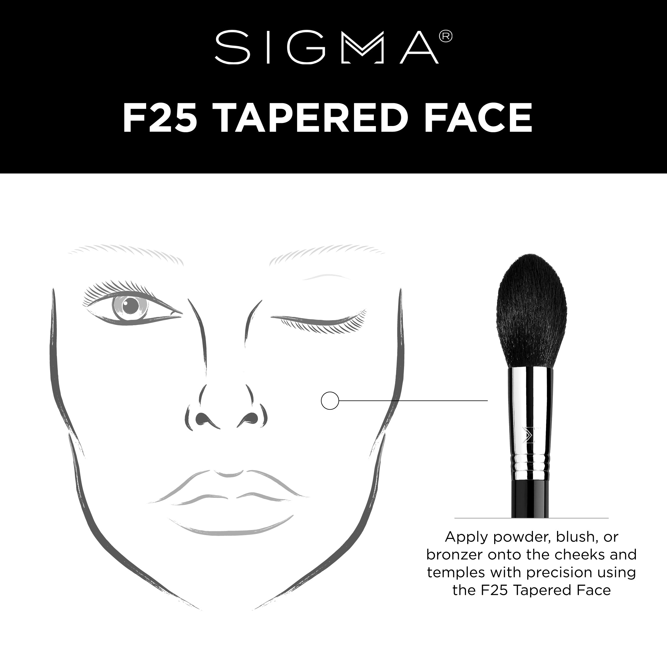F25 - Tapered Face Brush