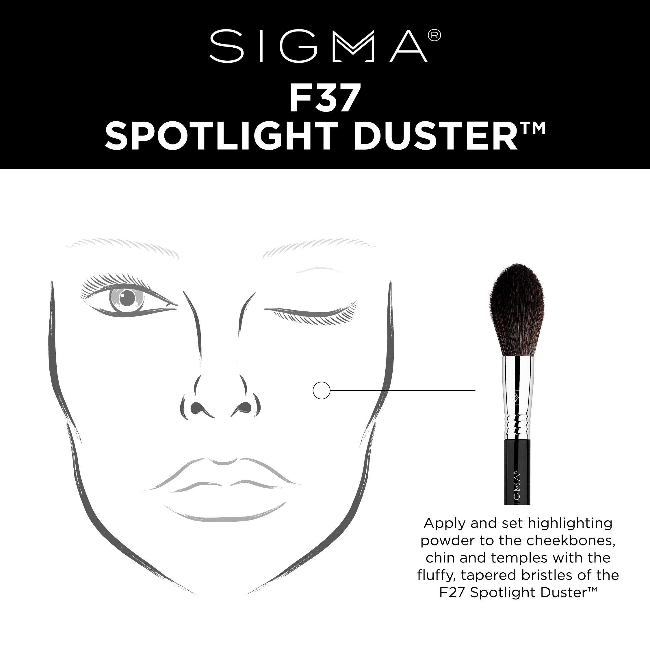 F37 – Spotlight Duster™