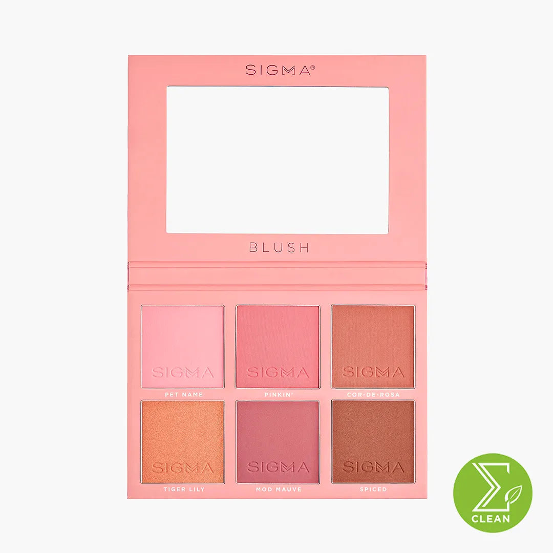 Blush Palette