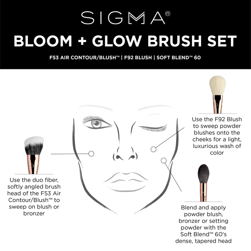 Bloom + Glow Brush Set