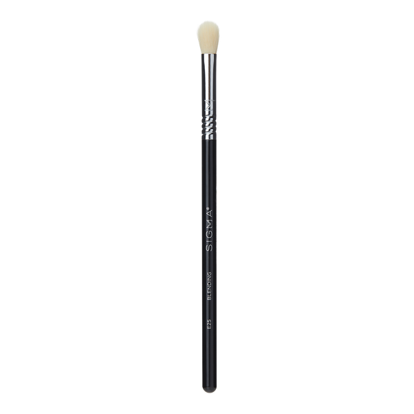 E25 - Blending Brush