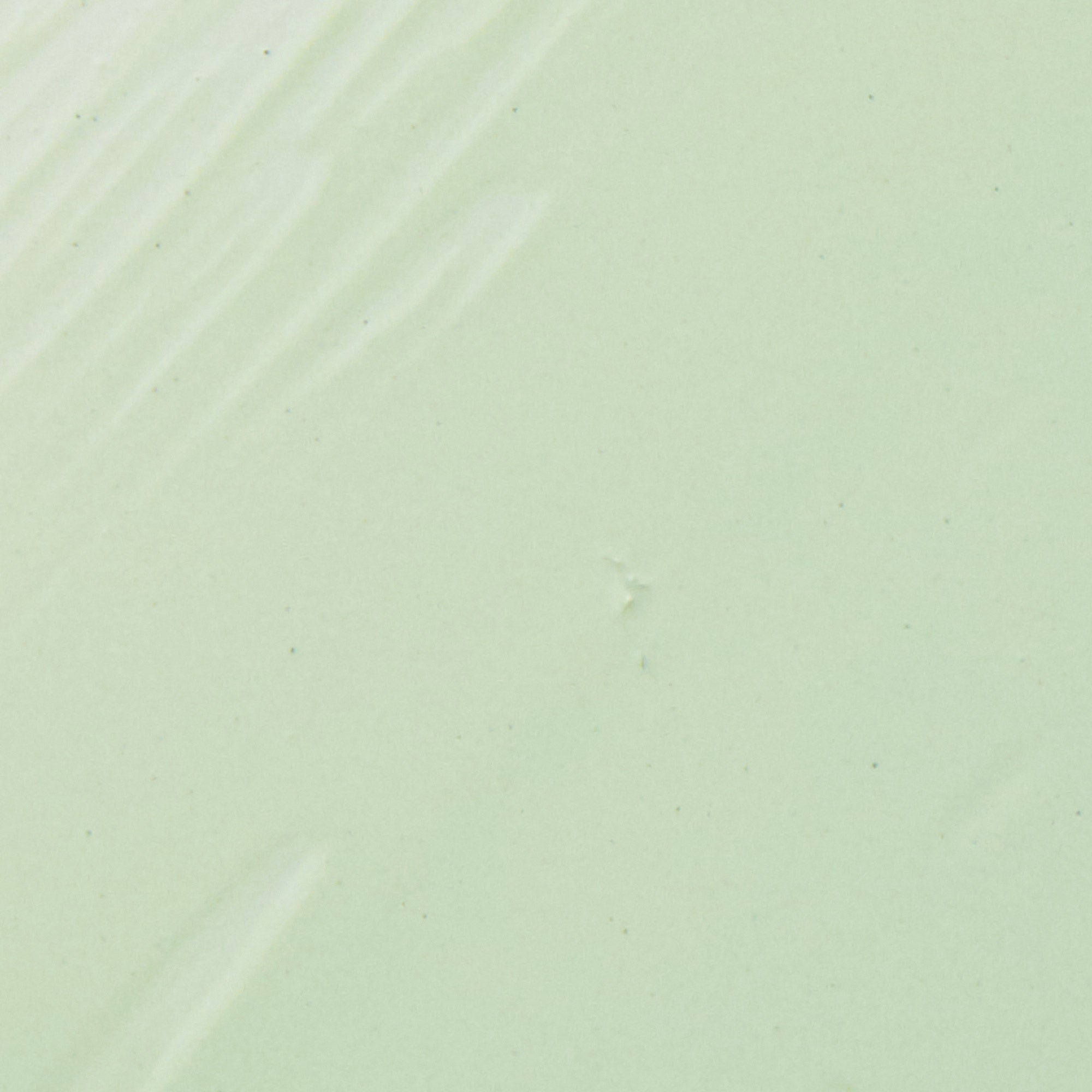 "Clean Canvas" Color Correcting Cushion Primer