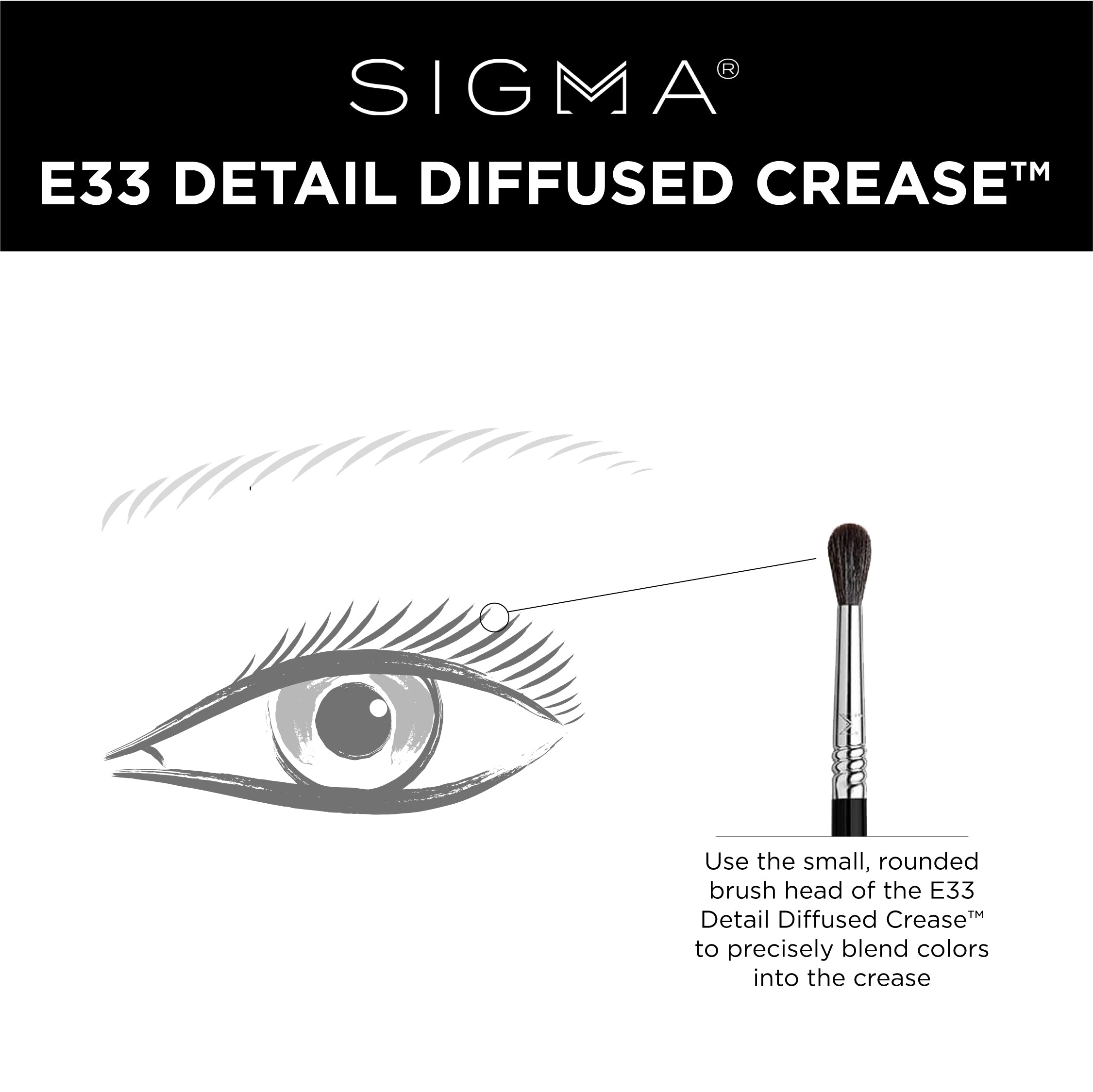 E33 Detail Diffused Crease