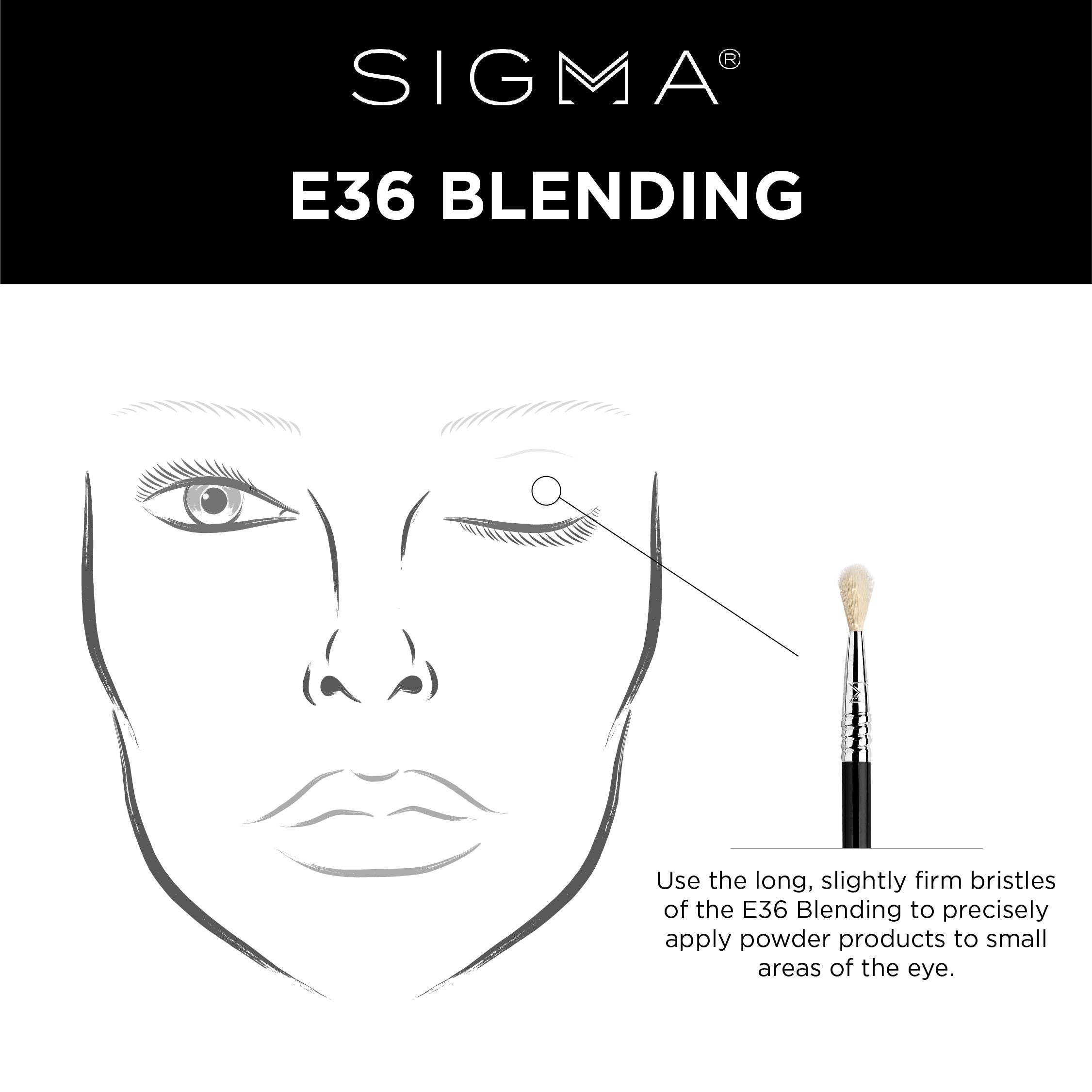 E36 - Blending Brush