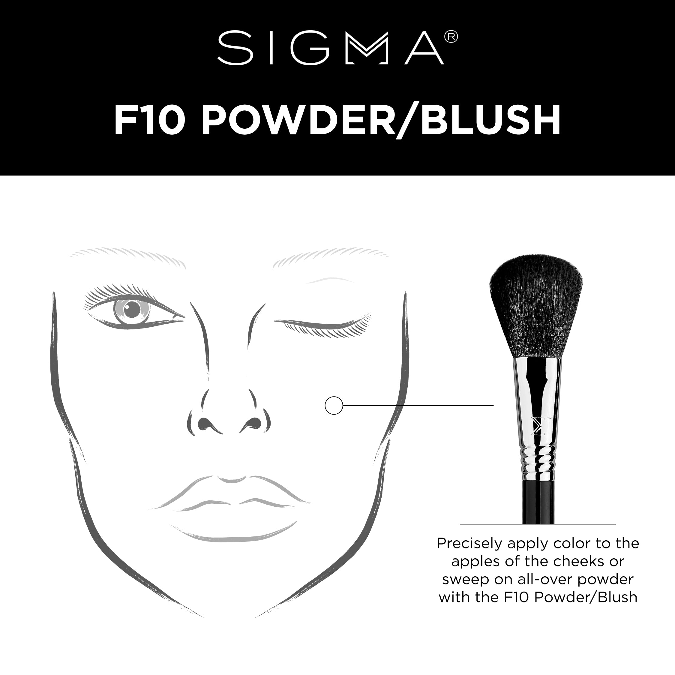F10 - Powder/Blush Brush